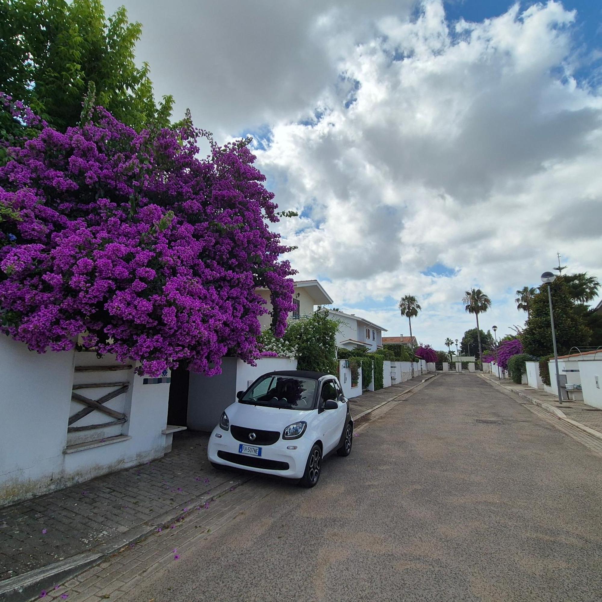 Villa Сабаудия Номер фото